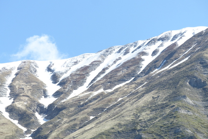 Monte Doro e Cima della Laghetta, le orchidee e i loro ambienti - luglio 2025.